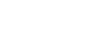 TRITON DMC